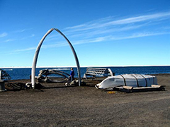 Iditarod 