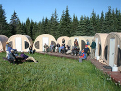 Iditarod 