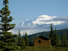Iditarod 