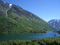 Iditarod 