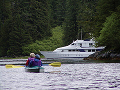 Iditarod 