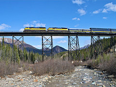 Iditarod
