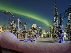 Iditarod 