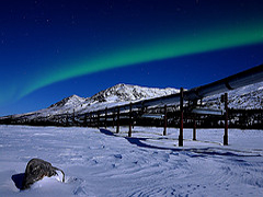 Iditarod 