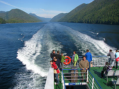 Iditarod 