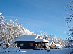 Iditarod 