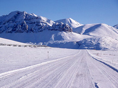 Iditarod
