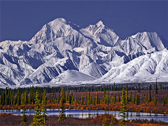 Iditarod 