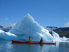 Iditarod 