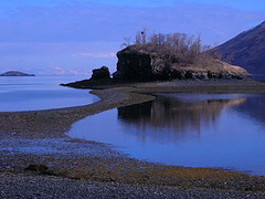 Iditarod 