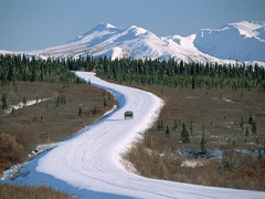 Iditarod 